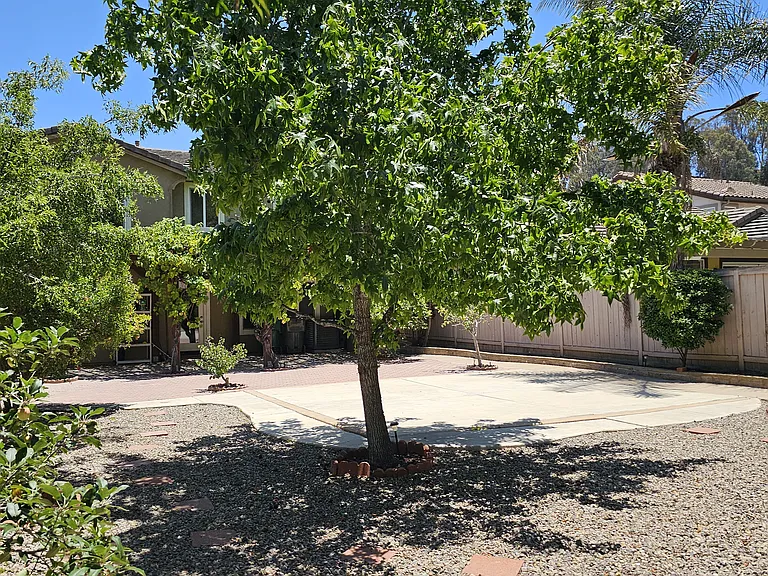233 Canyon Creek Way — Photo 32