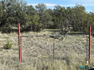 10 Chimney Ln #10, Carlsbad, NM 88220