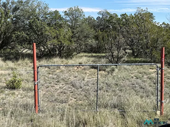 10 Chimney Ln #10, Carlsbad, NM 88220