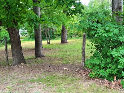 14543 Louhi St, Kaleva, MI, 49645