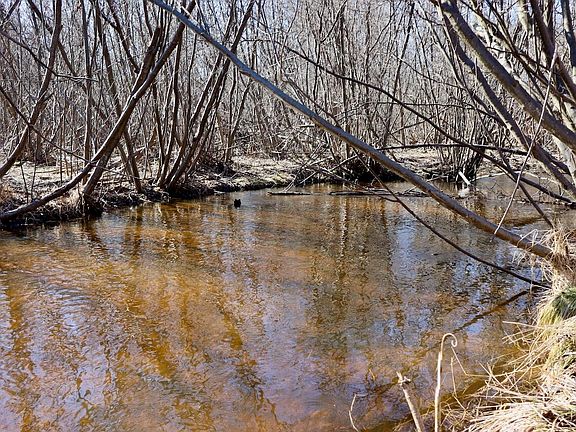 3rd image of 20334 Eleven Mile Rd