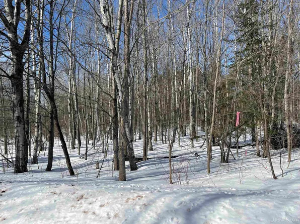 8 Powder Vale Dr, Ironwood, MI 49938
