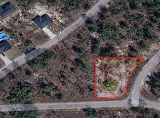 Guava Pass Pl Lot 1, Ocklawaha, FL 32179