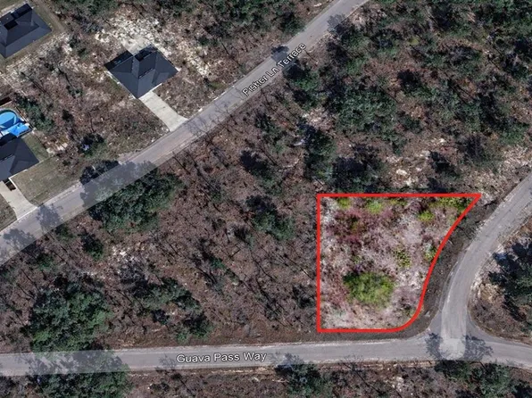 Guava Pass Pl Lot 1, Ocklawaha, FL 32179