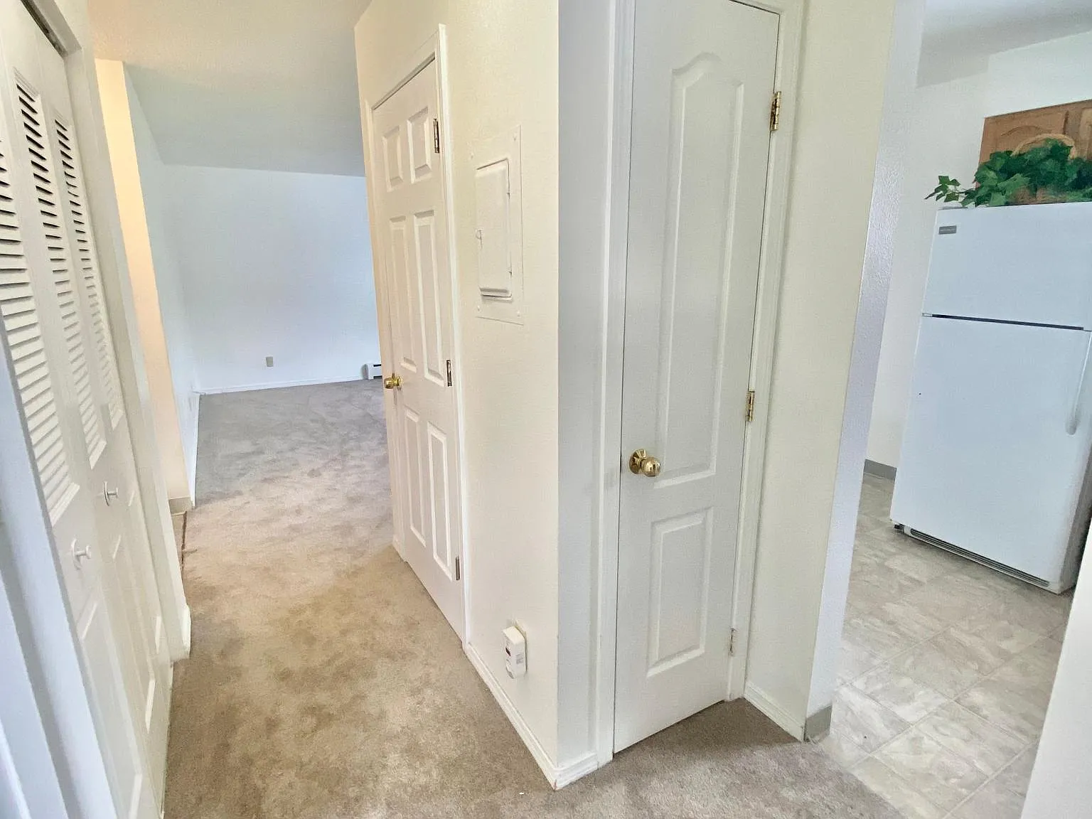 524 N Bliss Street — Photo 3