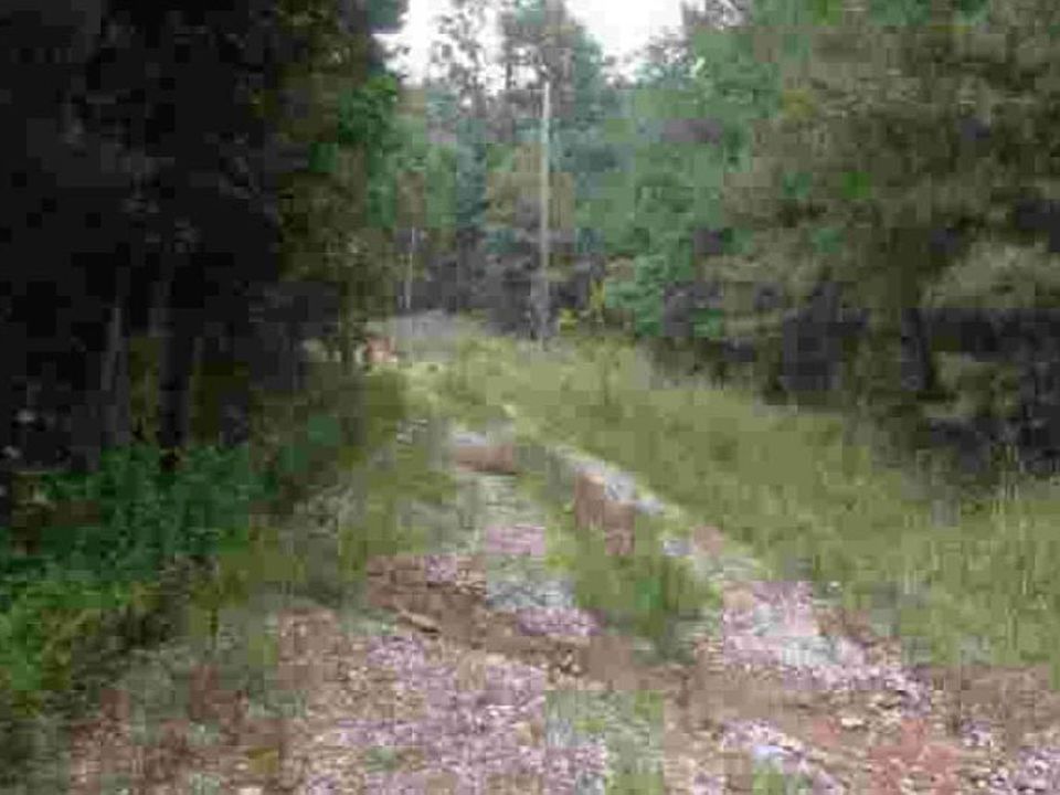 2nd image of 9750 Bluff Springs Rd