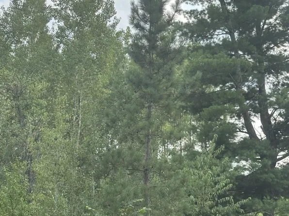 Near Swamsauger Heights Rd Tract 1072, Minocqua, WI 54548