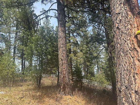 3rd image of 474 Timbercrest Loop