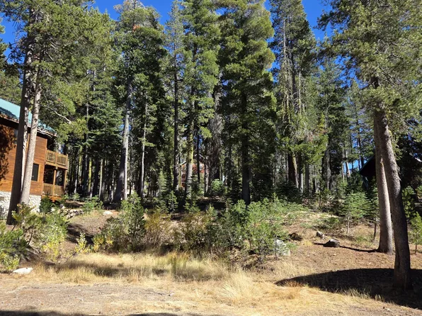 7232 Palisade Rd, Soda Springs, CA 95728