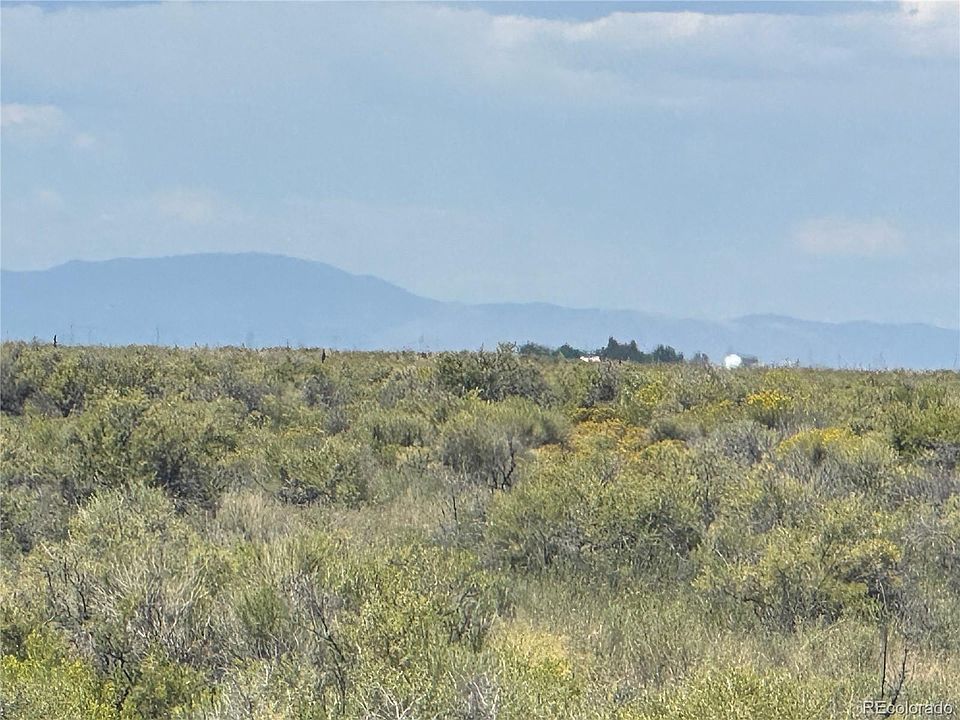 2nd image of Douglas Drive