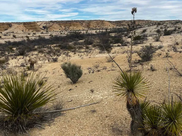 Burleson Road Pid #13816, Alpine, TX 79830