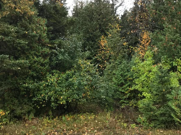 Democrat Rd, De Tour Village, MI 49725