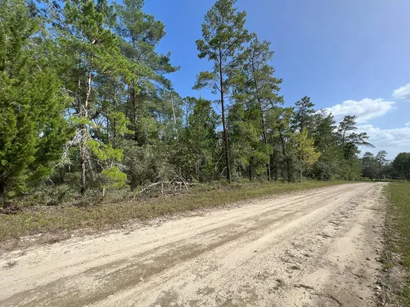 TBD SE 141st Ct, Williston, FL 32696