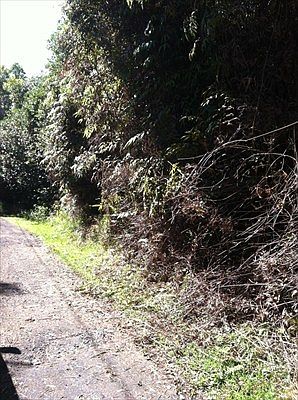 1st image of Maunalani Lots #79-lot 79