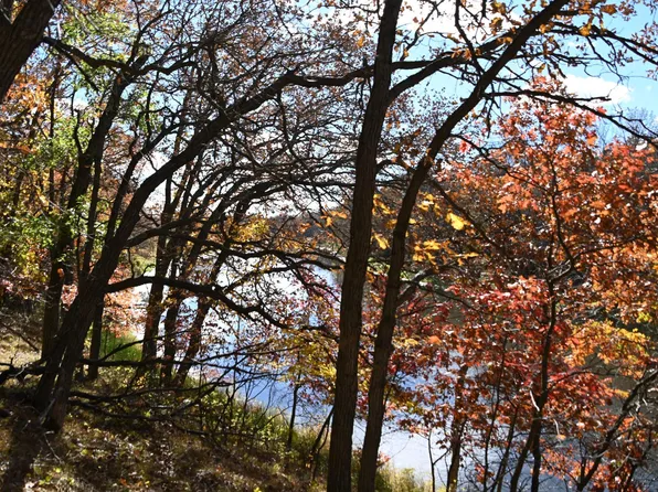 38869 Odin Ct, Browerville, MN 56438