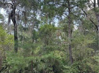 LOT 63 Delegal Dr NE, Townsend, GA 31331