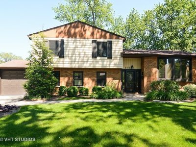 161 N Norman Dr, Palatine, IL, 60074