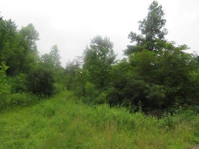 0 Tarkhill Branch Rd, Argillite, KY, 41121