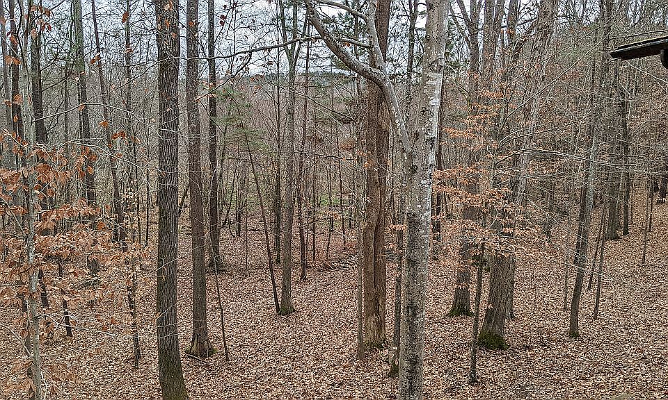 2nd image of 3653 Courtland Dr