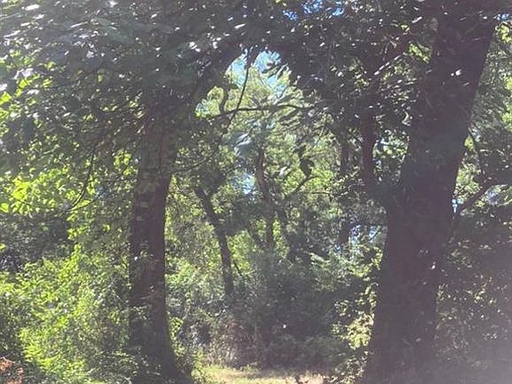 4th image of Whispering Oaks Dr Lot 2