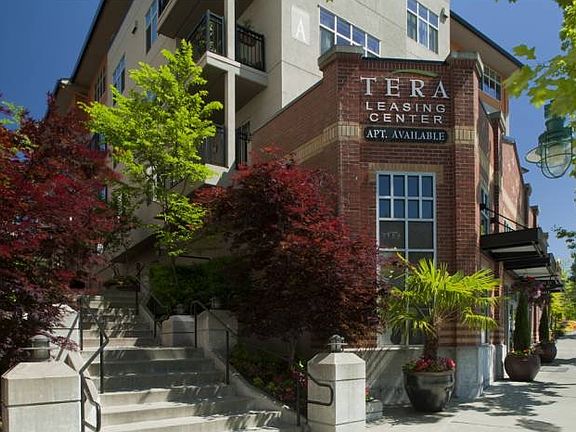 Welcome to Tera!