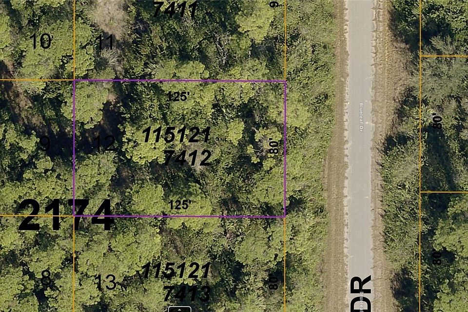 1st image of 1151217412 Blueleaf Dr