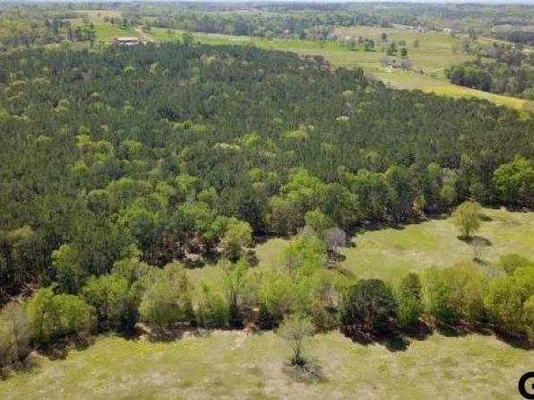 0 County Road 3115 Listing #1, Frankston, TX 75763