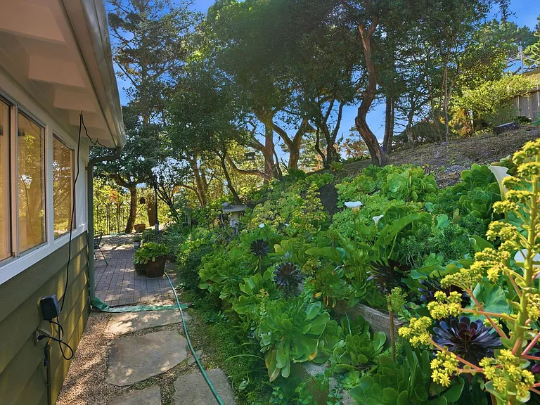 241 Soledad Dr — Photo 34