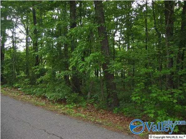 1 8th Ave SE, Arab, AL 35016