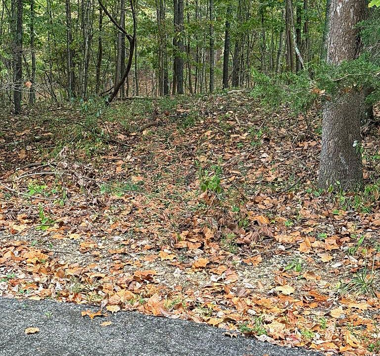 1st image of 971 Penny Royal Ln