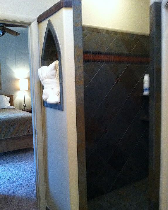 Master Shower arch