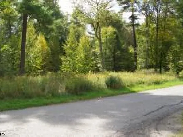 637 Sleepy Hollow Rd, Montague Twp., NJ 07827