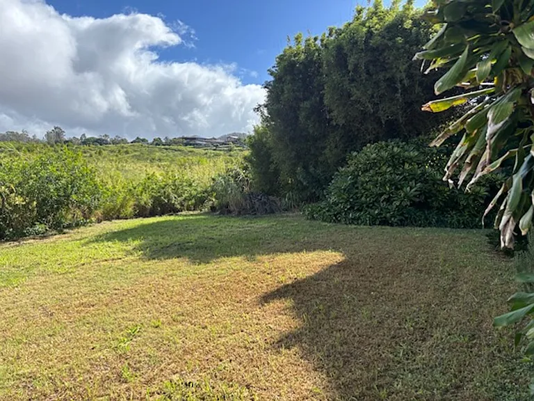 1055 Aina Manu Pl — Photo 26