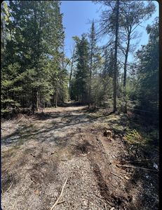 4546B19 Florence Ave, Pointe Aux Pins, MI, 49775