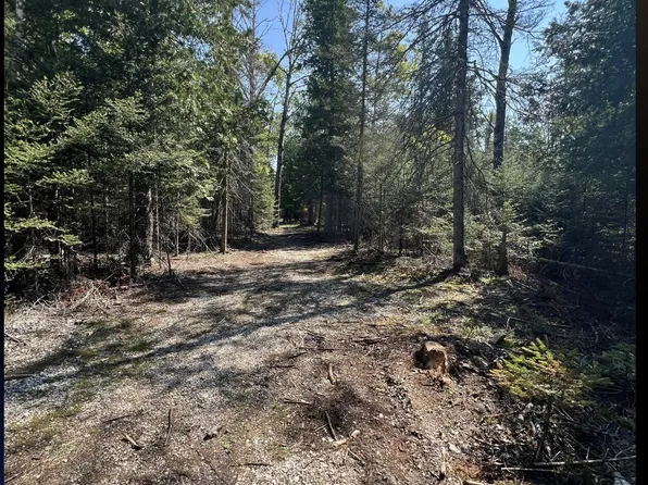 4546B19 Florence Ave, Pointe Aux Pins, MI 49775