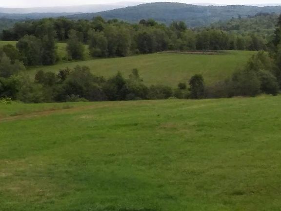 FIELD VIEWS