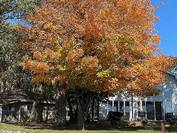 Email Sottum@hotmail.com