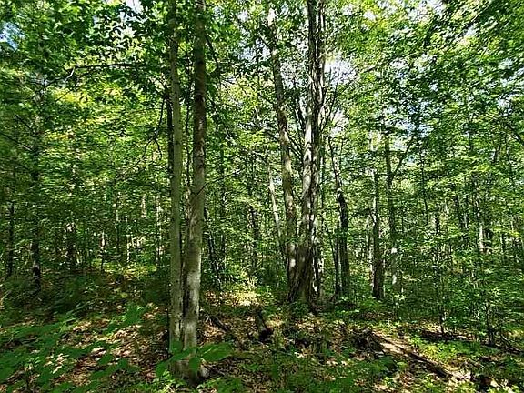 3rd image of 7821 Shay Dr