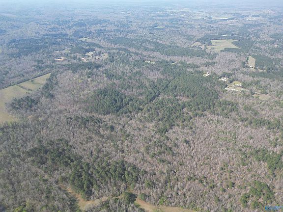 3rd image of 80/ACRE S Pine Ridge Rd