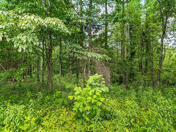 5th image of 0 Fredonia Rd #3