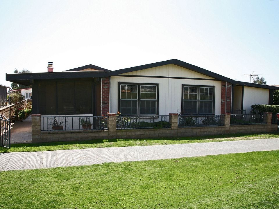 View From the Back