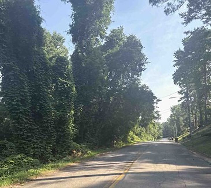 Exterior Neighborhood (street photo)