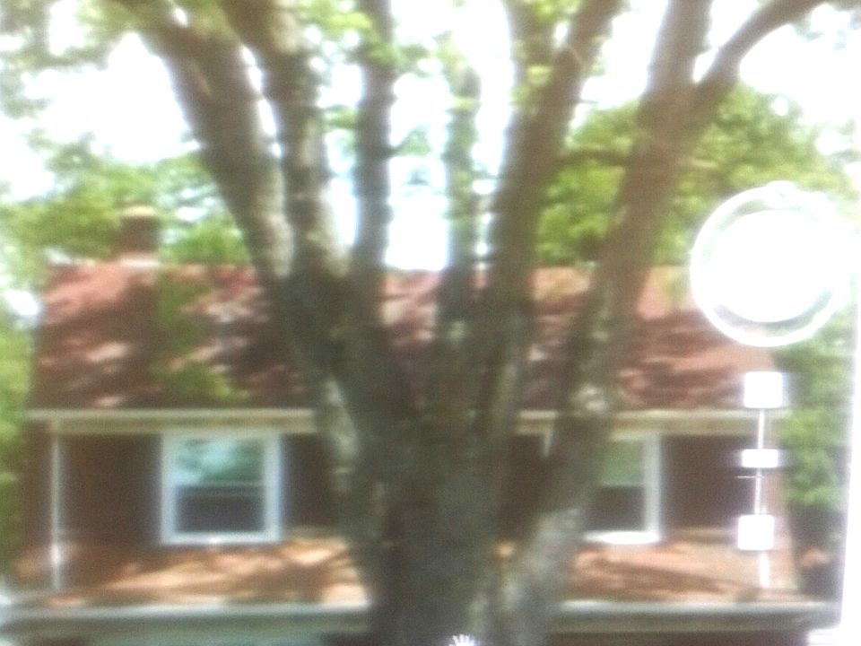 1st image of 352 W Midlothian Blvd