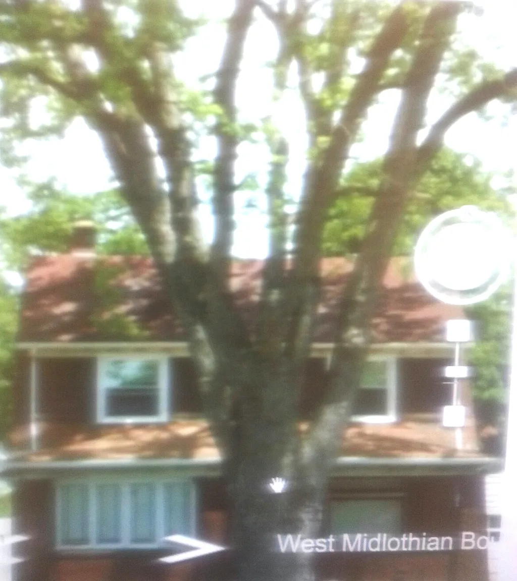 352 W Midlothian Blvd photo 1