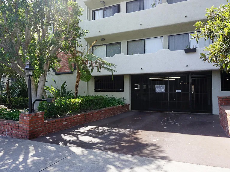 Los Feliz Palms — Photo 10