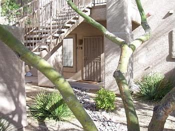 1st image of 9253 N Firebrick Dr Unit 119