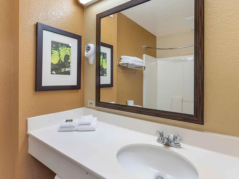 Studio Suite - 2 Full Beds