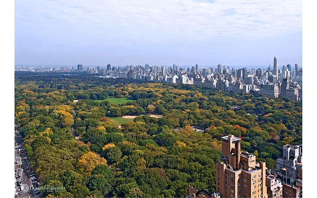 Rented by Douglas Elliman | media 2