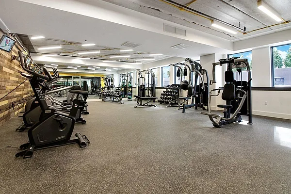 Rented by Rentopia | media 66