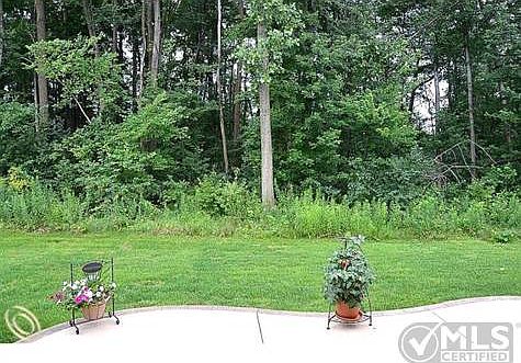 Rear yard